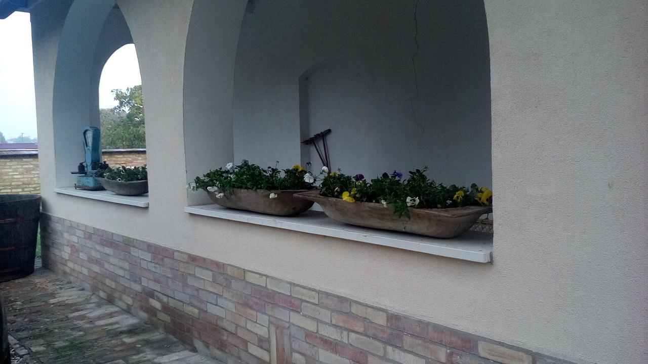 Resort La Tulipe Noire Ceglédbercel Zewnętrze zdjęcie